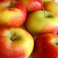 Apple Mead (cyser)