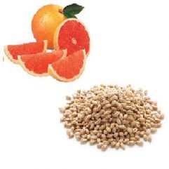 Barley and Grapefruit